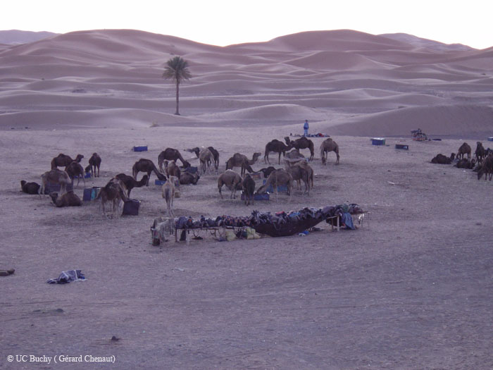 Maroc 2007 (221)