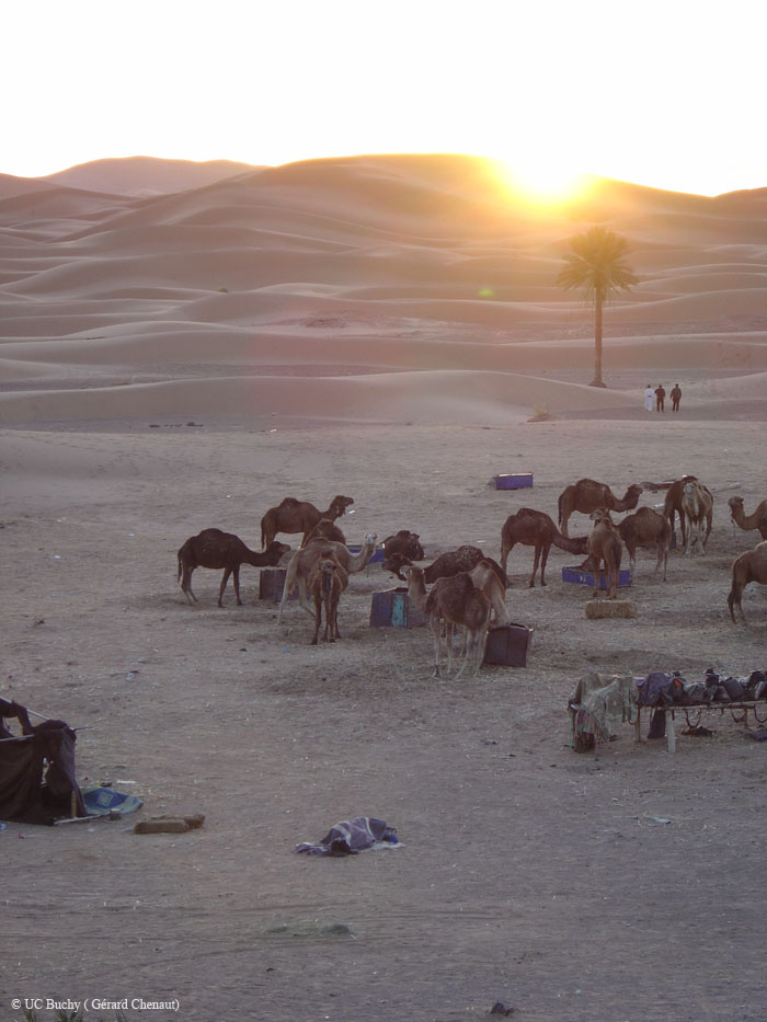 Maroc 2007 (222)
