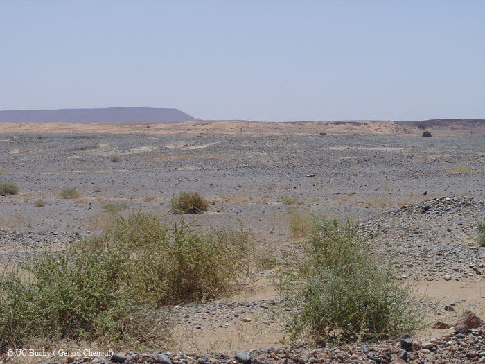 Maroc 2007 (227)