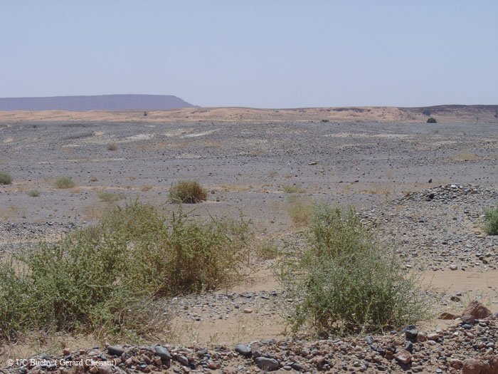 Maroc 2007 (228)