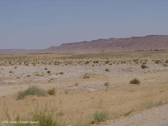 Maroc 2007 (229)