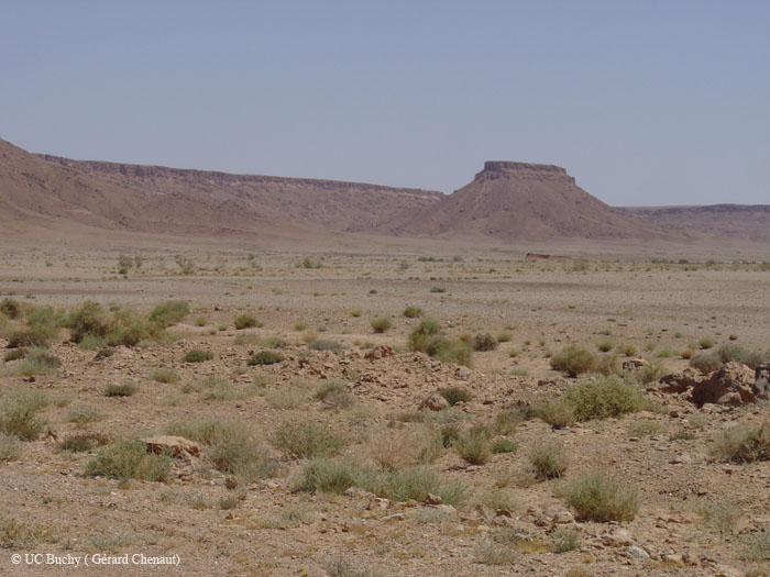 Maroc 2007 (230)