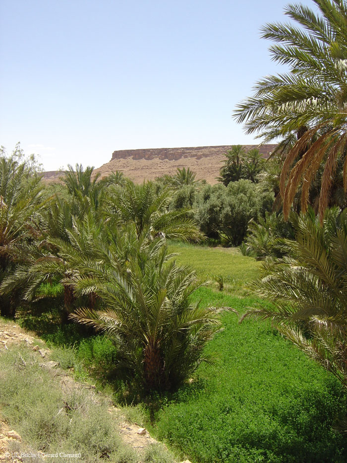 Maroc 2007 (240)