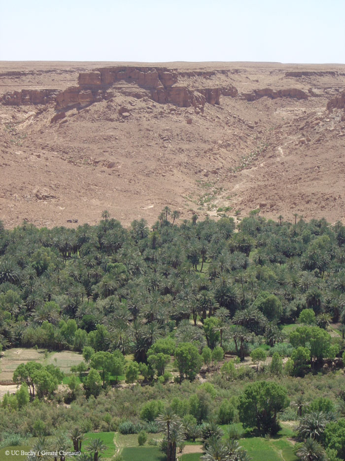 Maroc 2007 (243)