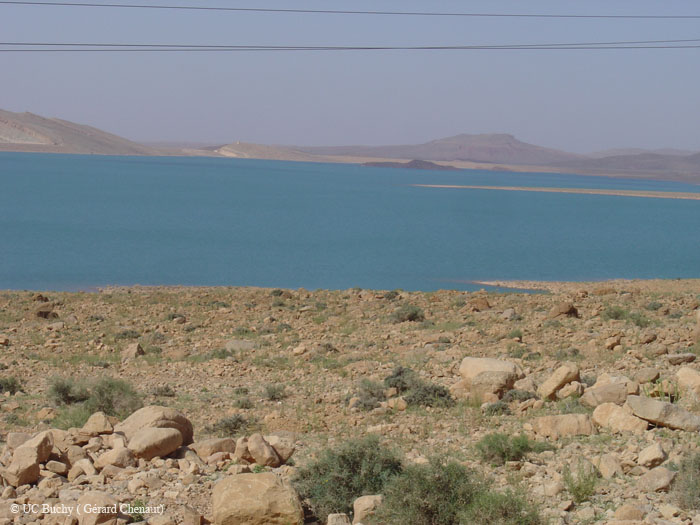 Maroc 2007 (255)