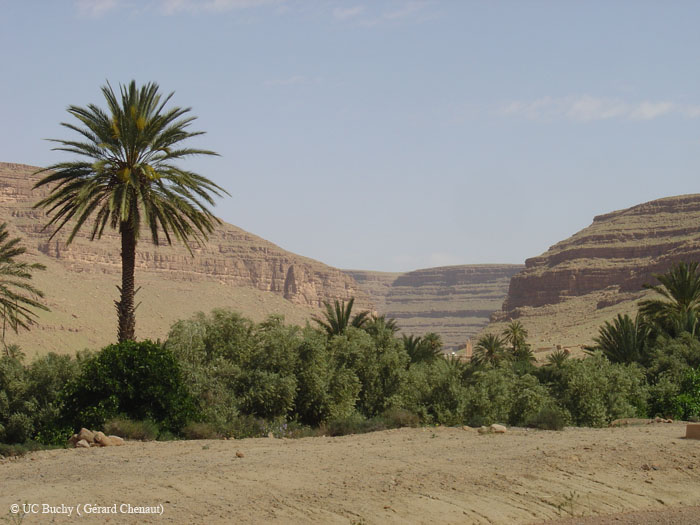Maroc 2007 (261)