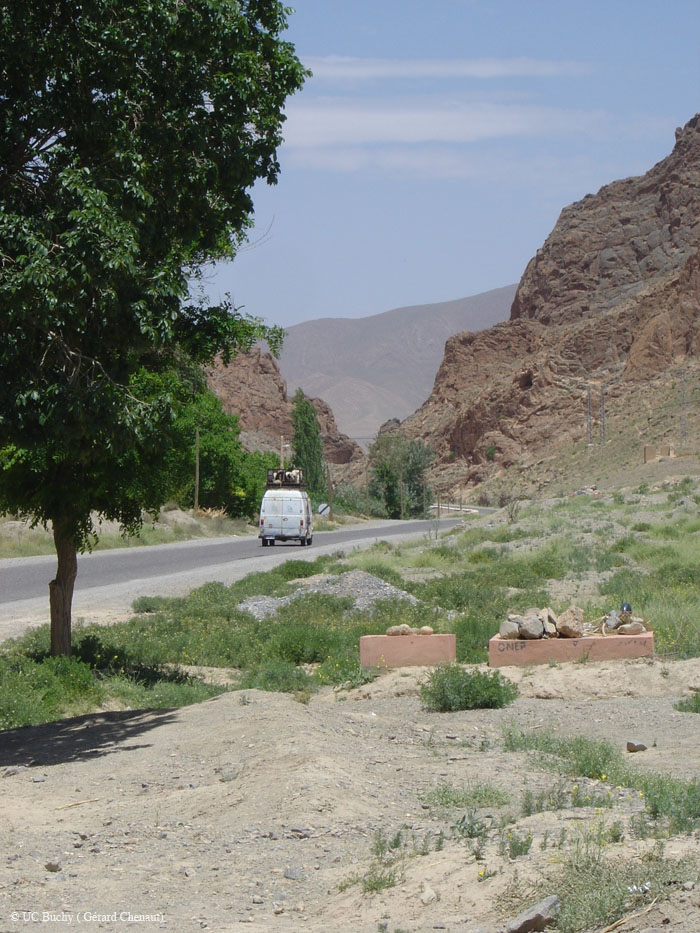 Maroc 2007 (269)