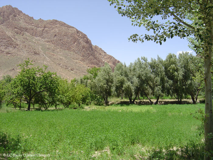 Maroc 2007 (278)