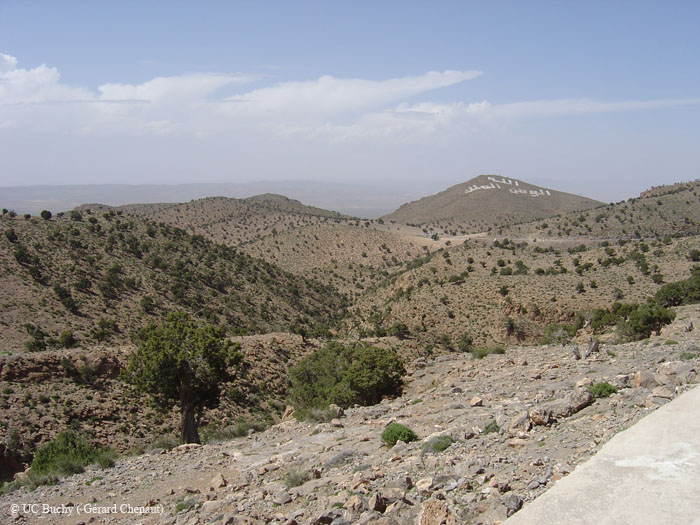 Maroc 2007 (280)