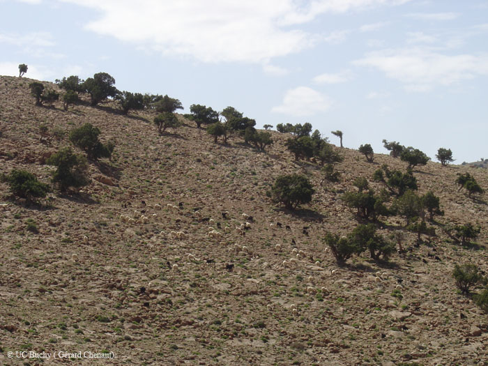 Maroc 2007 (281)