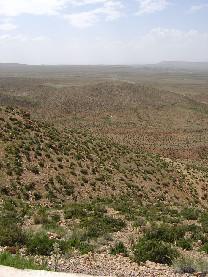 Maroc 2007 (283)