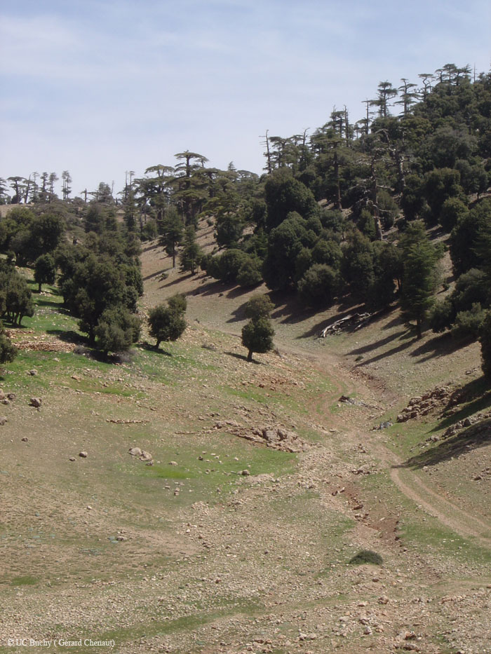 Maroc 2007 (306)