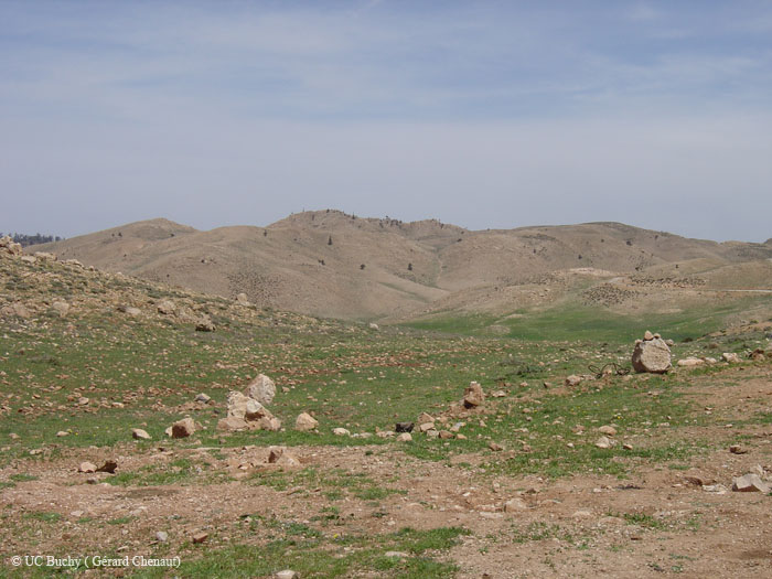 Maroc 2007 (308)