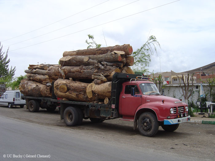 Maroc 2007 (310)