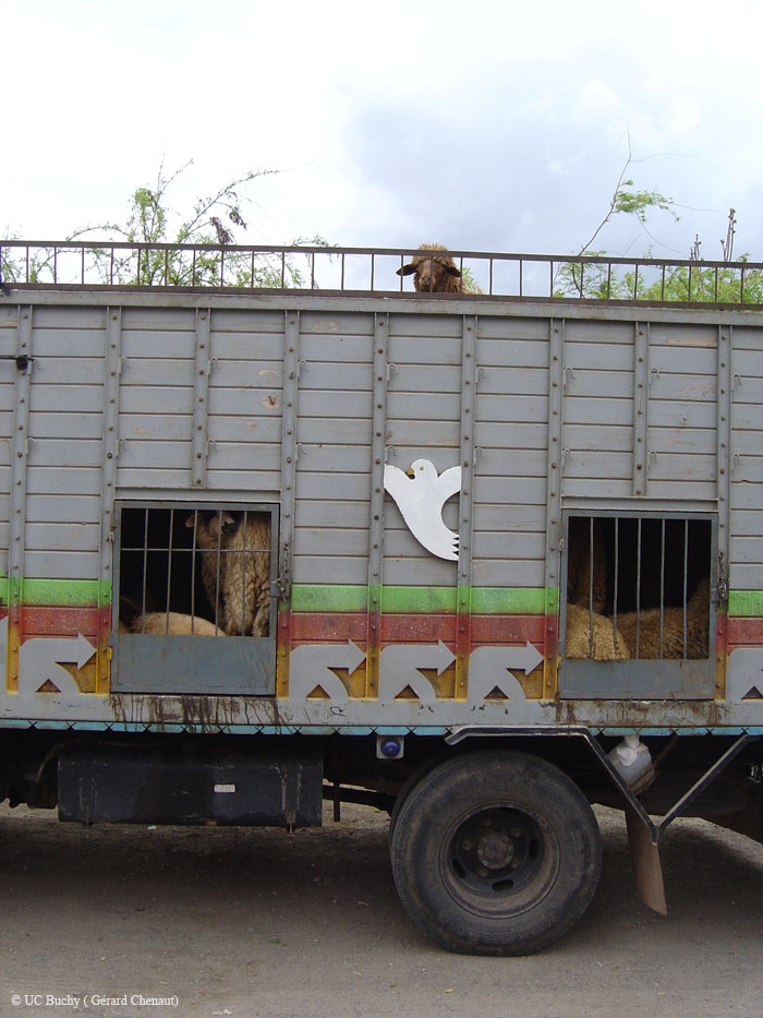 Maroc 2007 (312)