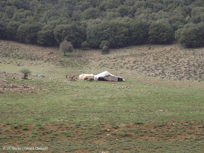 Maroc 2007 (318)
