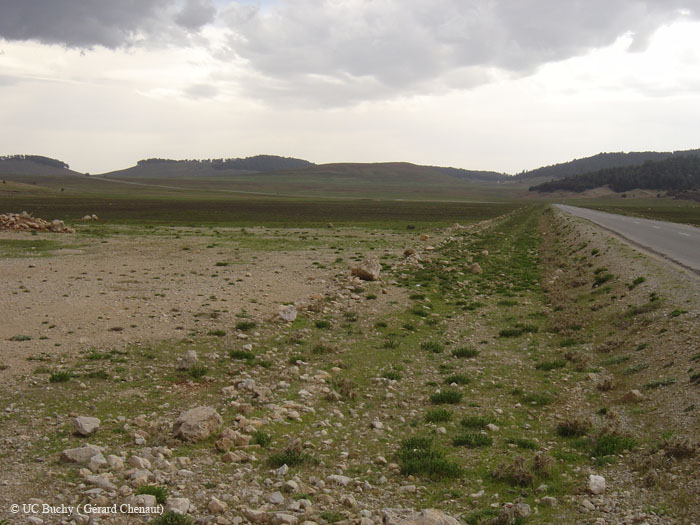 Maroc 2007 (319)