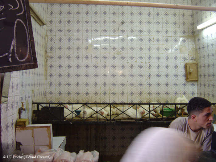 Maroc 2007 (375)