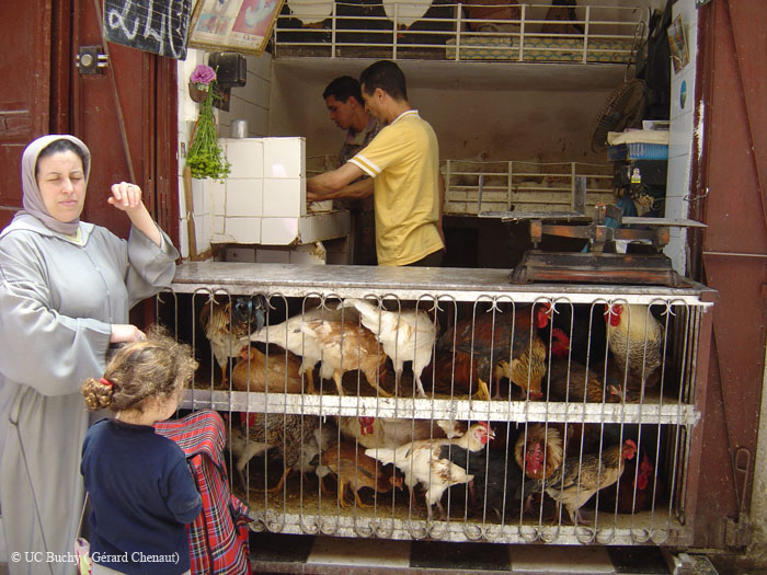 Maroc 2007 (376)