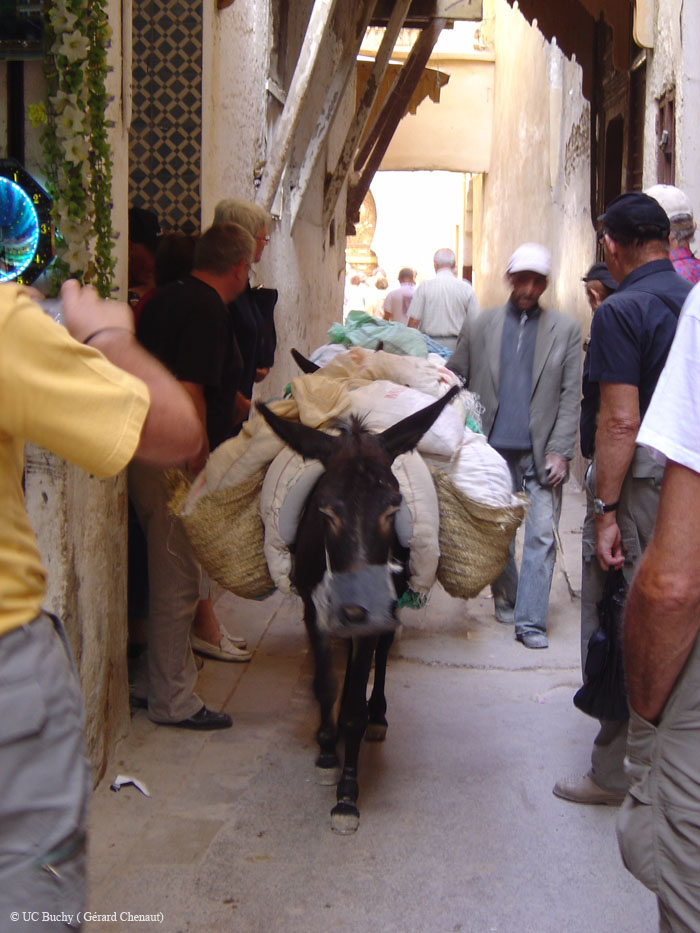 Maroc 2007 (386)