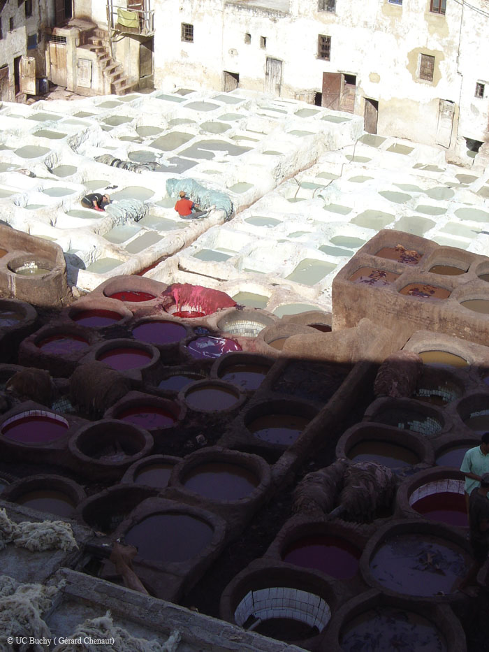 Maroc 2007 (392)