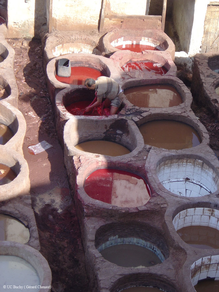 Maroc 2007 (393)
