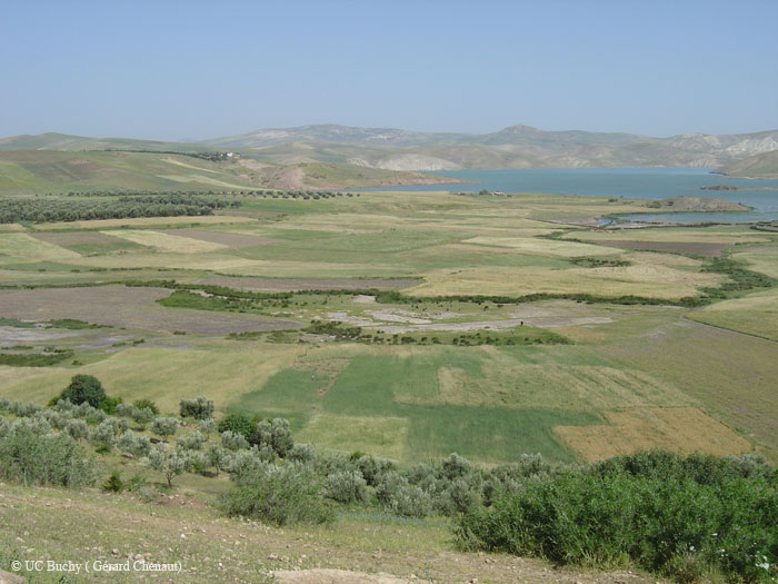 Maroc 2007 (399)