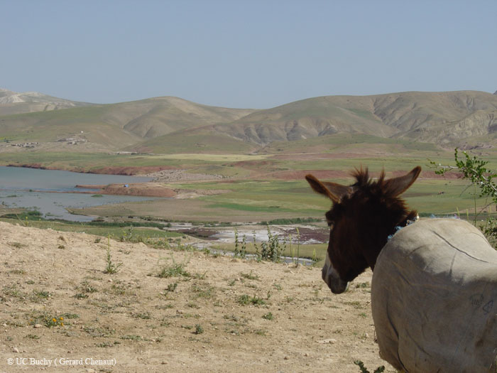 Maroc 2007 (400)