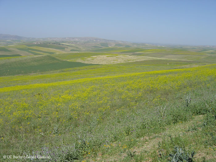 Maroc 2007 (401)
