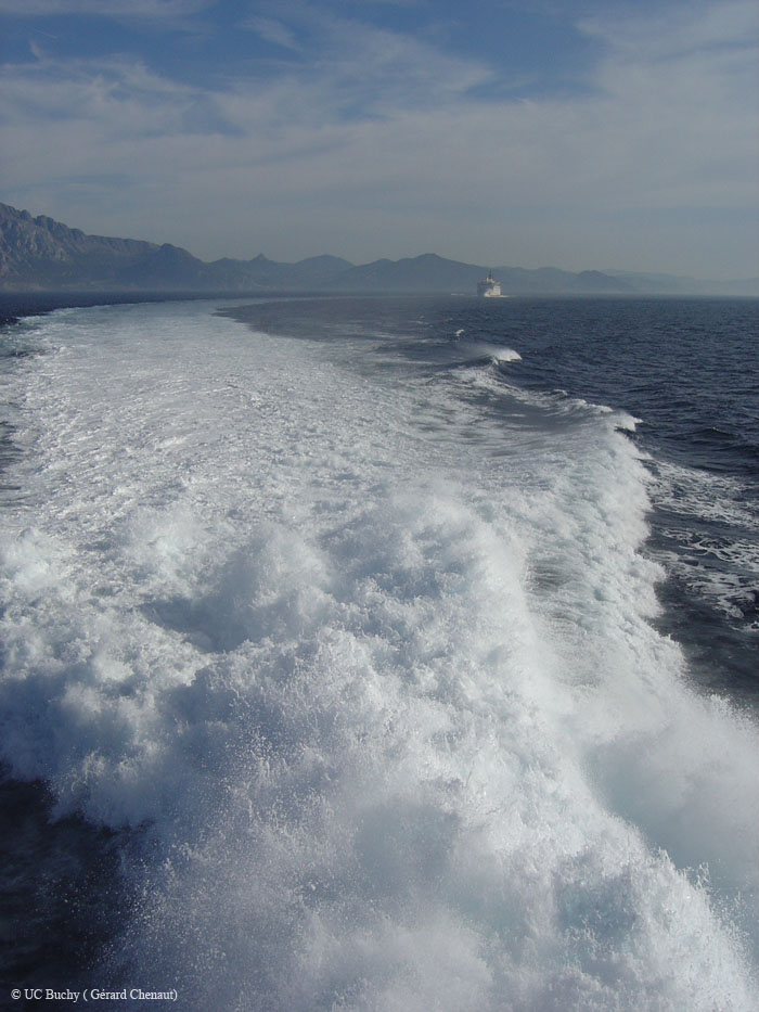 Maroc 2007 (409)