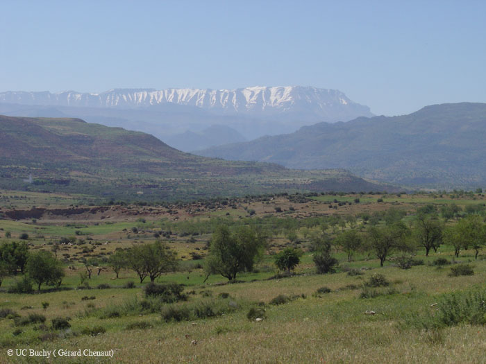 Maroc 2007 (58)