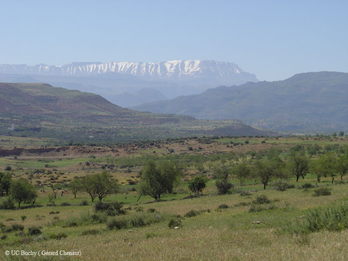 Maroc 2007 (59)