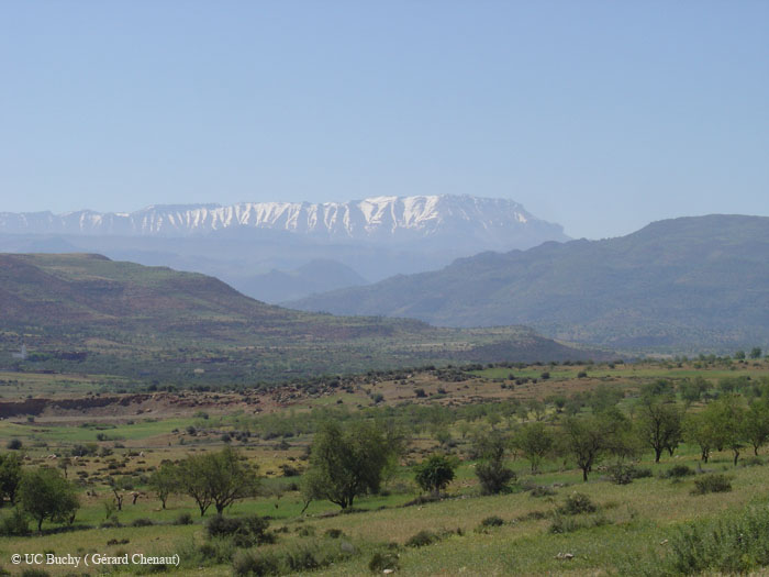 Maroc 2007 (61)