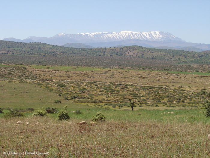 Maroc 2007 (63)