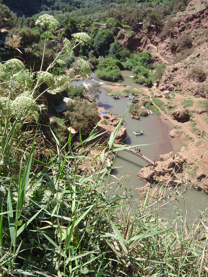 Maroc 2007 (88)