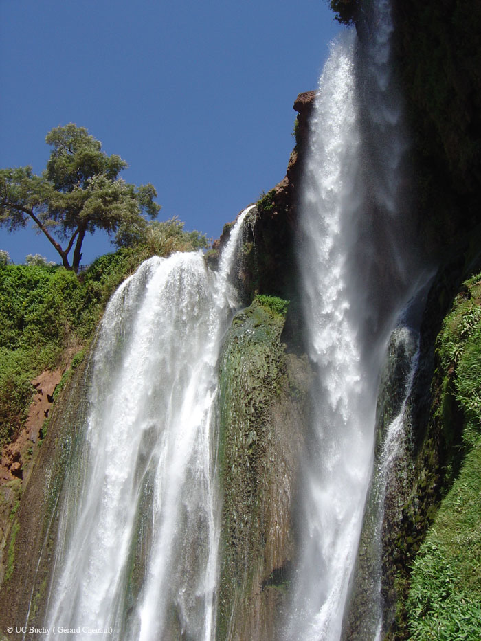 Maroc 2007 (90)