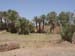 Maroc 2007 (158)