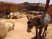 Maroc 2007 (169)