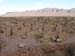 Maroc 2007 (205)