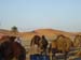 Maroc 2007 (206)
