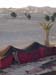 Maroc 2007 (224)