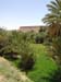 Maroc 2007 (240)