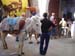 Maroc 2007 (384)