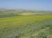 Maroc 2007 (401)