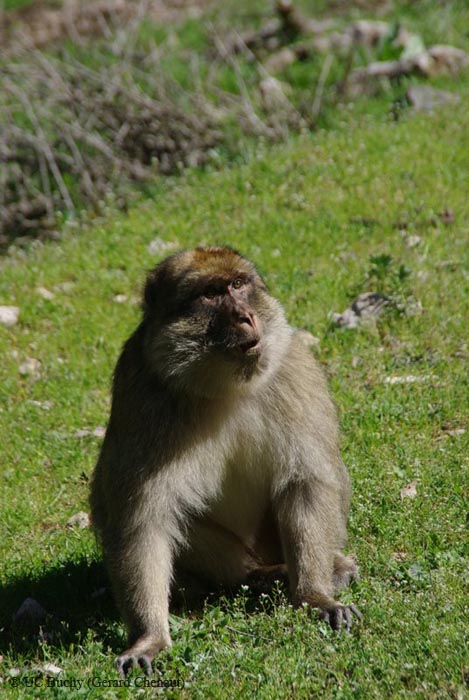 Maroc2010 (22)