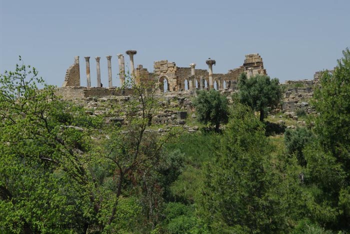 Maroc2010 (23)