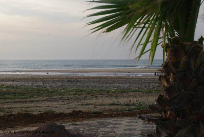 Maroc2010 (25)