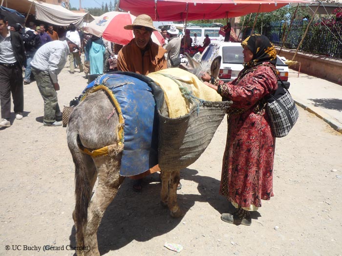 Maroc2010 (32)