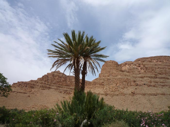 Maroc2010 (38)