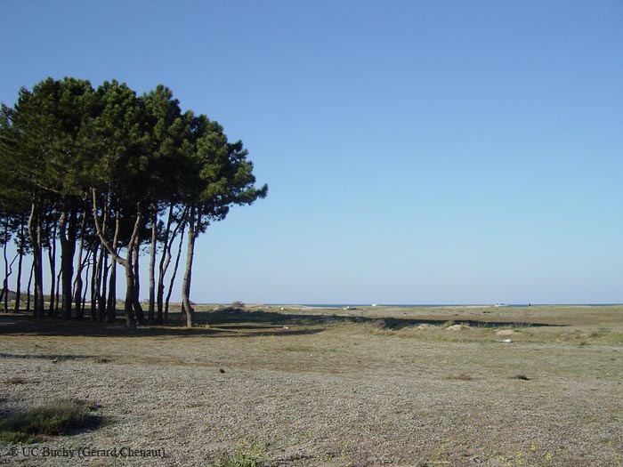 DSC00677